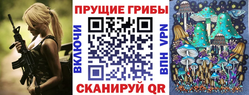 Купить где  Дальнереченск  Галлюциногенные грибы Magic Shrooms 